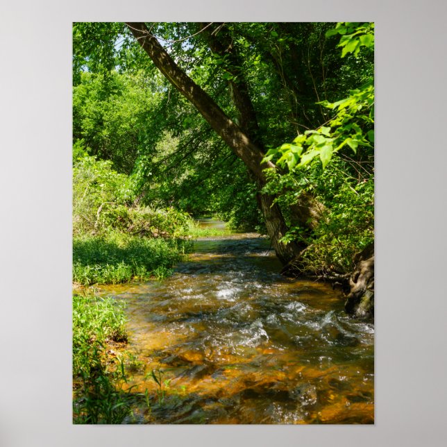 Affiche Un Country Creek (Devant)
