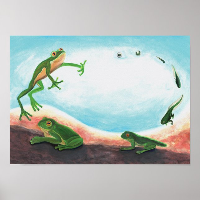 Affiche Un cycle de vie étonnant d'une grenouille (Devant)