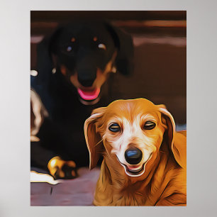 Affiche Un Dachshund Chaud Pendant La Chaleur Été