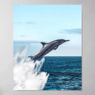 Affiche Un dauphin saute de l'océan