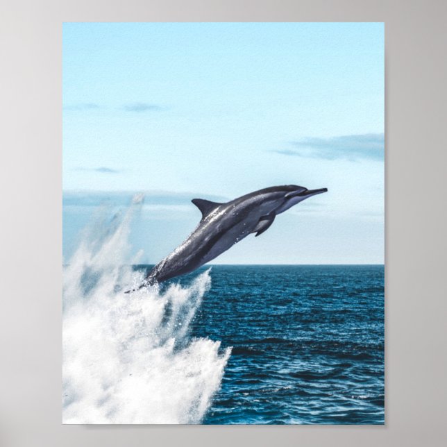 Affiche Un dauphin saute de l'océan (Devant)