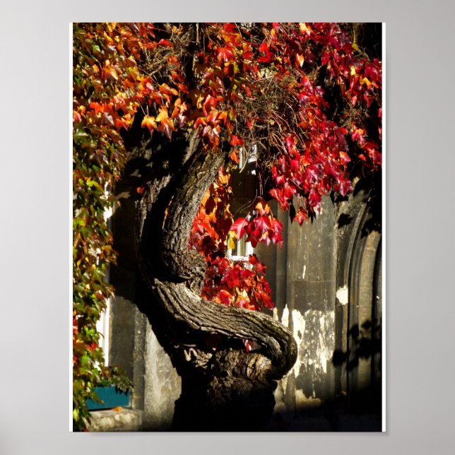 Affiche Un Être Ancien (Devant)