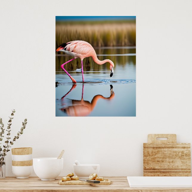 Affiche Un flamant rose voyant son reflet dans l'eau (Cuisine)