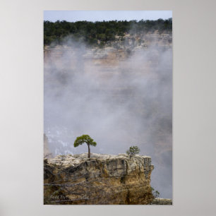 Affiche Un grand canyon solitaire