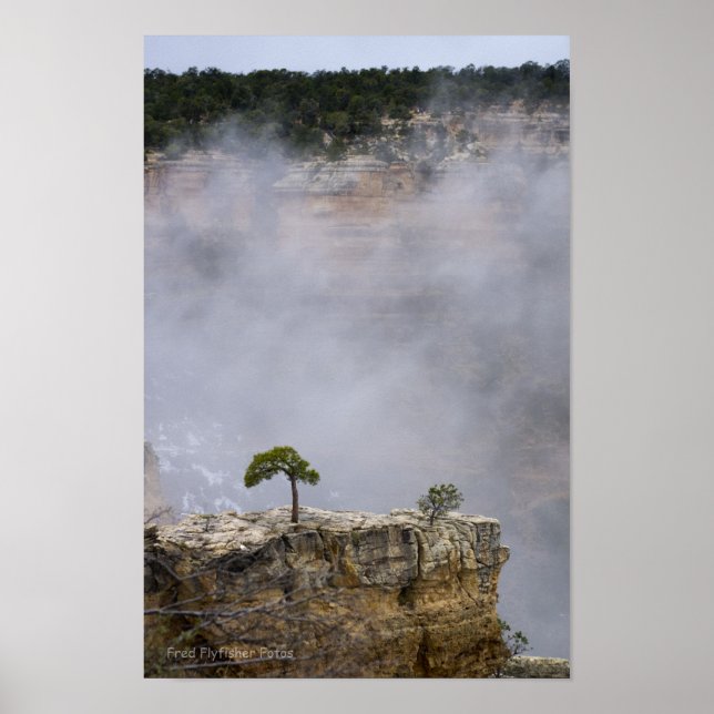 Affiche Un grand canyon solitaire (Devant)