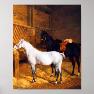 Affiche Un Gris et un cheval noir dans un Stable