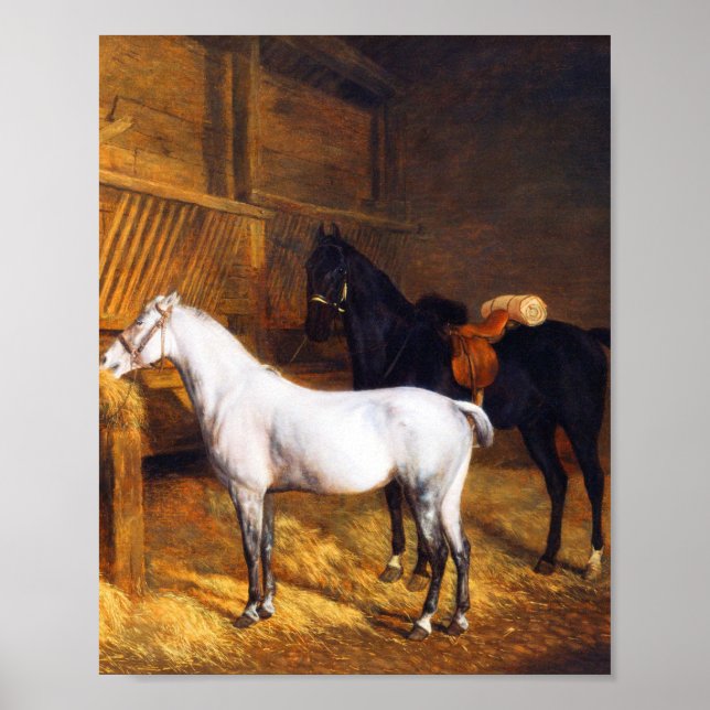 Affiche Un Gris et un cheval noir dans un Stable (Devant)