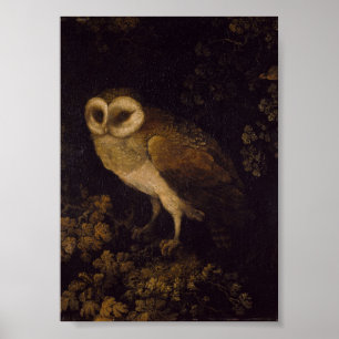 Affiche Un hibou par Moses Haughton l'Aîné