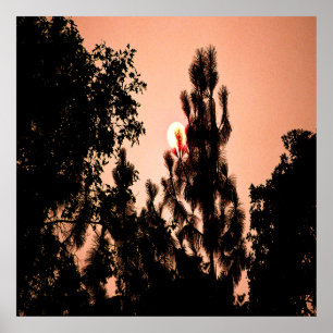 Affiche Un incendie dans la vallée de l'Inde.......