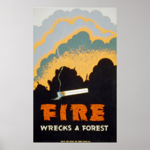 Affiche Un incendie détruit une forêt