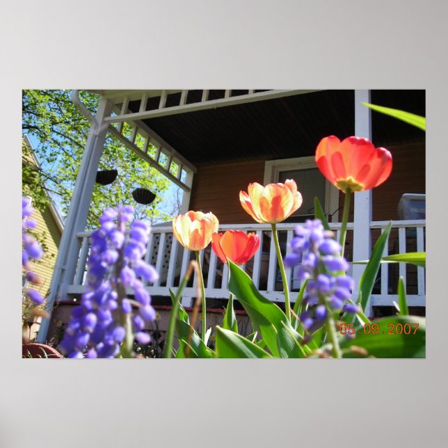 Affiche Un jardin de printemps (Devant)