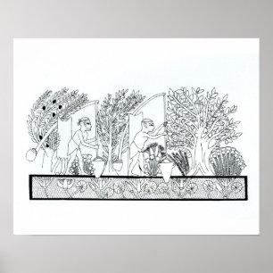 Affiche Un jardin égyptien antique (gravure) (photo :