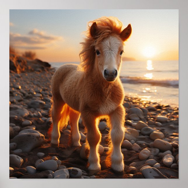 Affiche Un jeune cheval avec une crinière de boucles (Devant)
