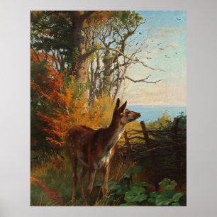 Affiche Un Joli Cerf En Forêt