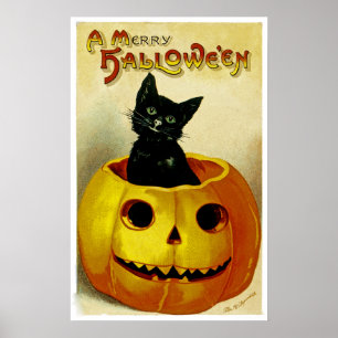 Affiche Un joyeux chaton de Halloween