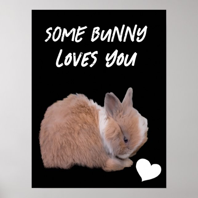 Affiche Un Lapin T'Aime (Devant)