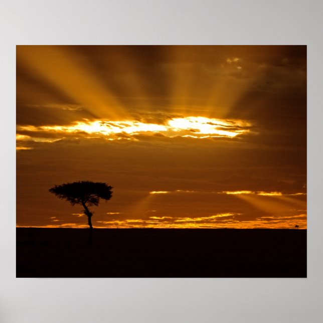 Affiche Un lever de soleil bouche ouverte dans le Maasai M (Devant)