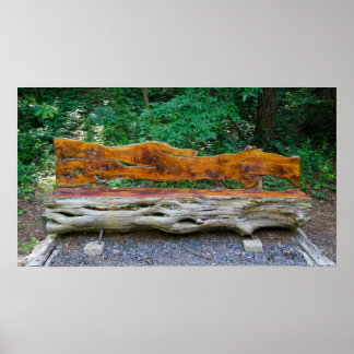 Affiche Un lieu de repos dans l'affiche de la forêt