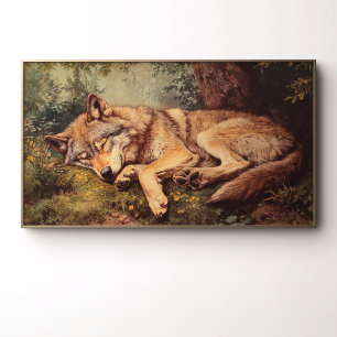 Affiche Un loup dormant dans la forêt