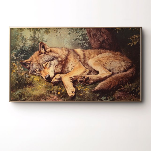 Affiche Un loup dormant dans la forêt (Créateur téléchargé)
