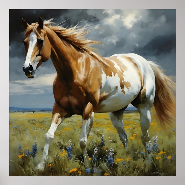 Affiche Un magnifique cheval Pinto dans la prairie (Devant)