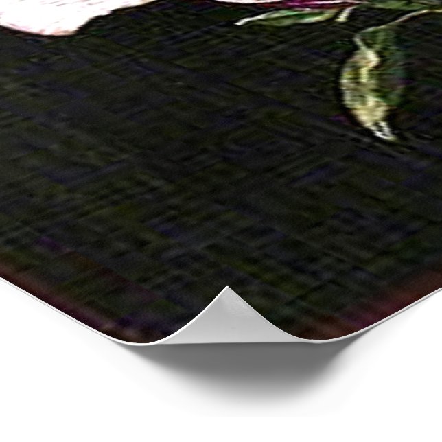 Affiche Un Magnolia japonais (Coin)