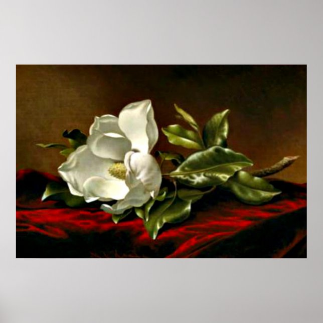 Affiche Un Magnolia sur Red Velvet (Devant)