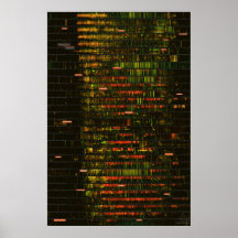 Un mois de sons de Yellowstone