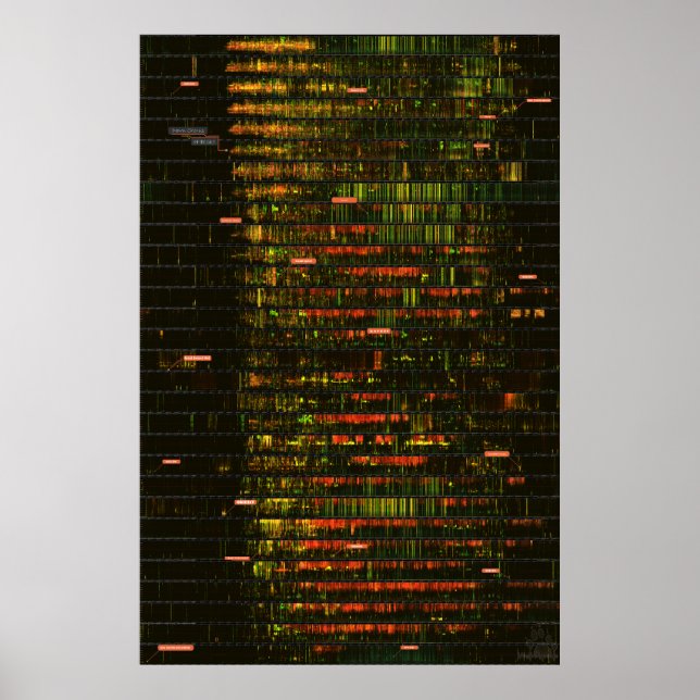 Affiche Un mois de sons de Yellowstone (Devant)