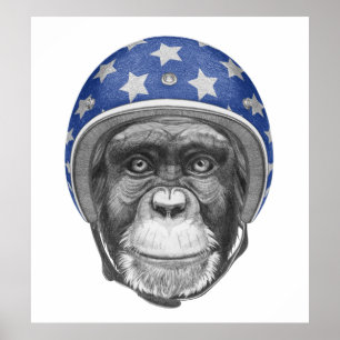 Affiche Un motocycliste Chimpanzé