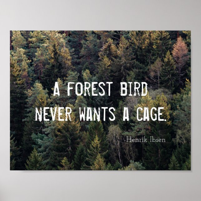 Affiche Un Oiseau De Forêt Ne Veut Jamais Un Design De Cag (Devant)