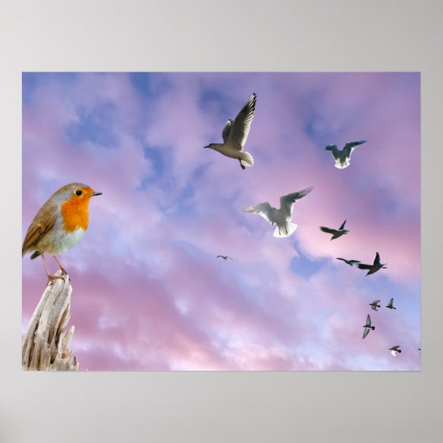 Affiche Un oiseau regarde le coucher de soleil du ciel mag (Devant)