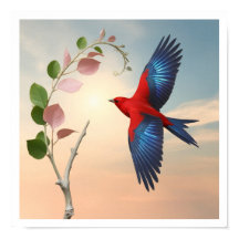 Un oiseau rouge aux ailes bleu vif et largement ré