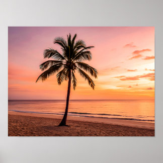 Affiche Un palmier se dresse seul sur la plage au coucher