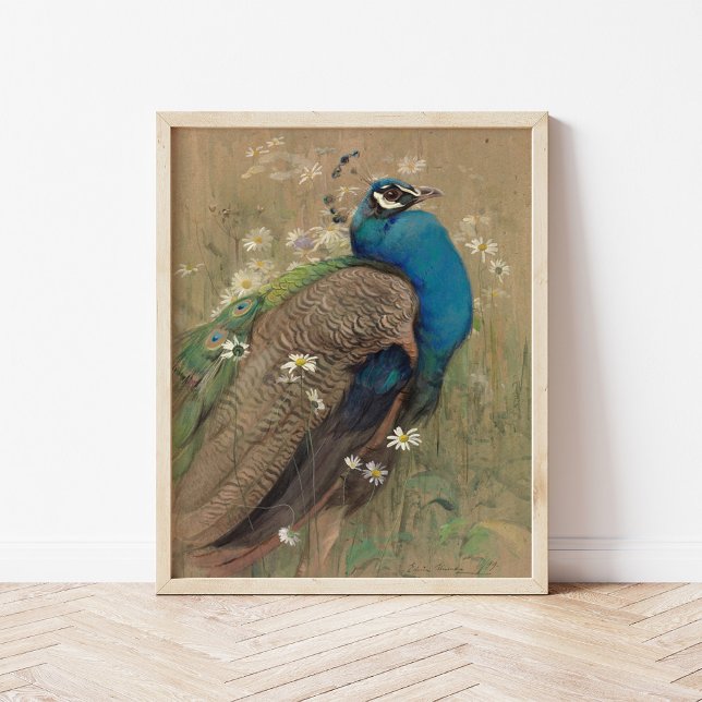 Affiche Un paon et des marguerites | Edwin John Alexander (Créateur téléchargé)