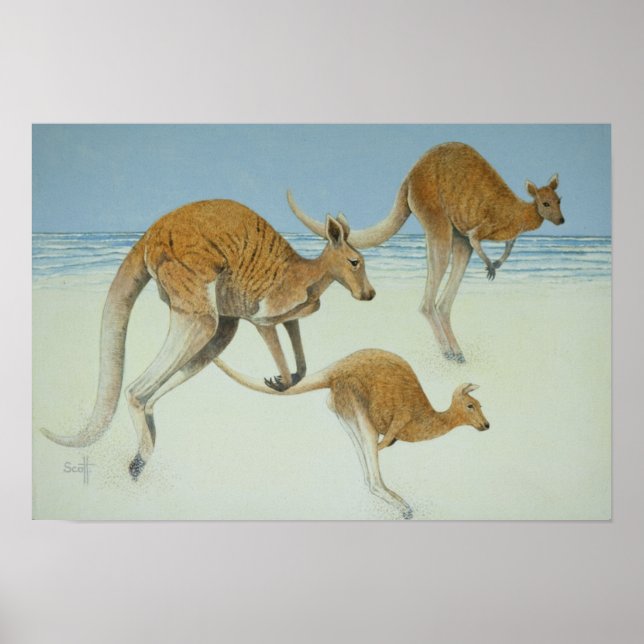 Affiche Un pas en avant (Devant)