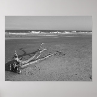 Affiche Un passage solitaire