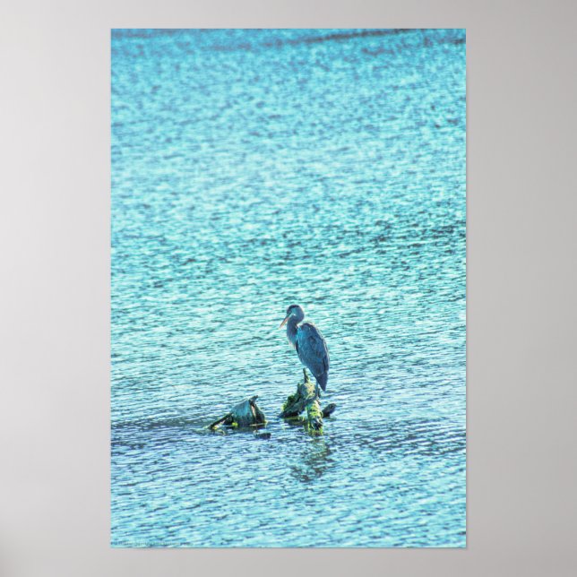 Affiche Un penseur (Devant)