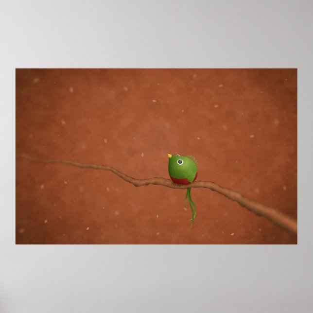 Affiche Un Petit Quetzal (Devant)