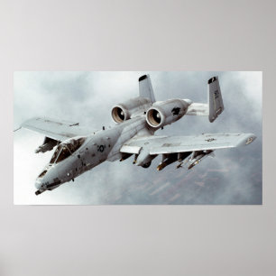 Affiche Un phacochère A-10