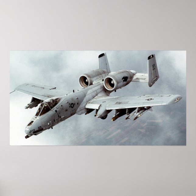 Affiche Un phacochère A-10 (Devant)