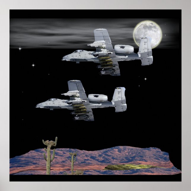 Affiche Un phacochère militaire A-10 (Devant)