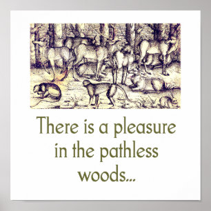 Affiche Un Plaisir Dans Les Bois Sans Pathie