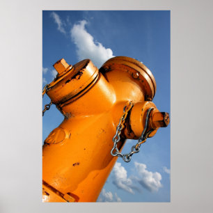 Affiche Un point de vue chien