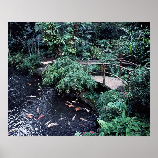 Affiche Un pont au-dessus d'un étang de poissons rouges en (Devant)