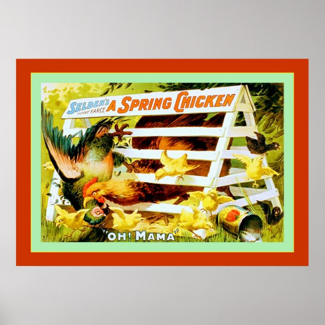 Affiche Un poulet à ressort (Devant)