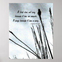 Un proverbe chinois inspirant