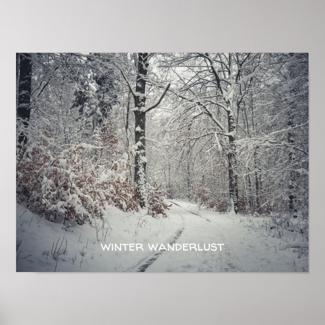Affiche Un sentier à travers la forêt d'hiver enchanteress (Devant)