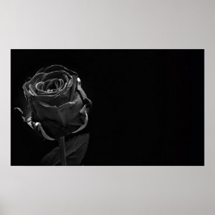 Affiche Un seul Rose noir
