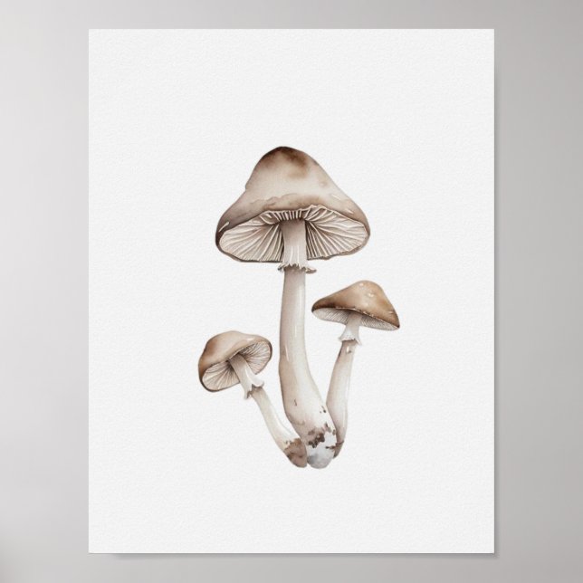 Affiche Un simple champignon (Devant)